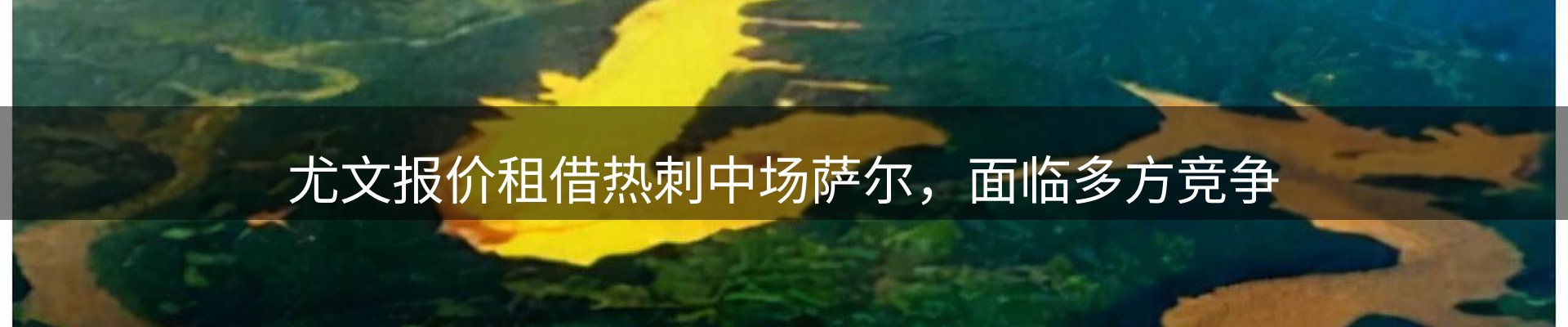 今日速览