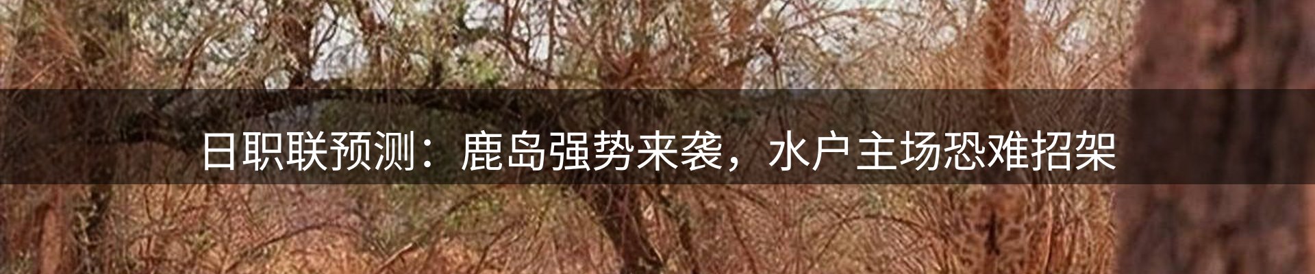 今日速览