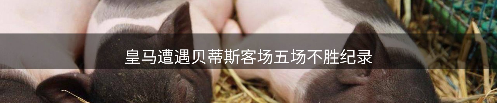 今日速览